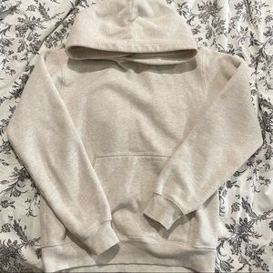 Aritzia Perfect Hoodie
